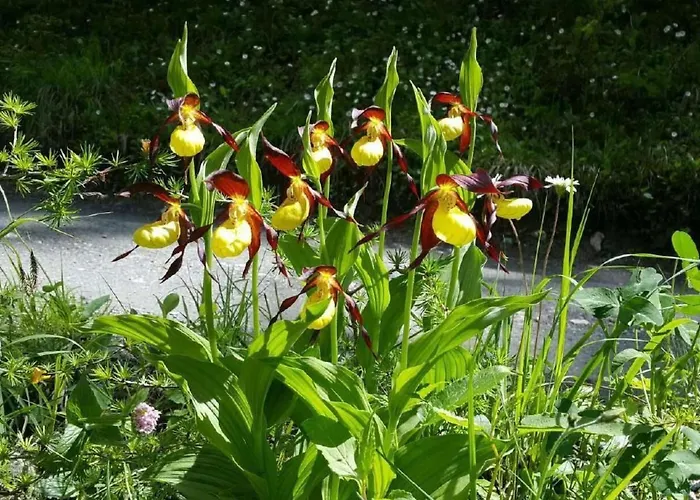 Tatil Evi Pensiun Tung By Interhome *