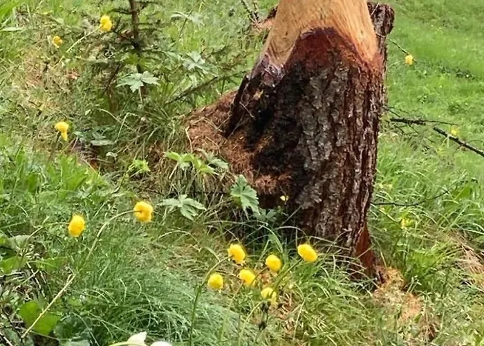 Pensiun Tung By Interhome Tatil Evi